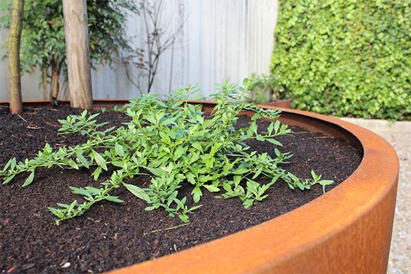 empresa_de_jardineras_de_acero_corten_diferentes_tamanos.jpg