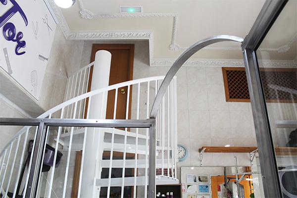 peluquerias_de_gatos_y_perros_en_donostia_anna_tor_estructura_de_acero_inox_para_lavado_de.jpg