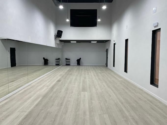 ventanas_perfil_jansen_para_academia_de_baile_22_academy_de_irun.jpg
