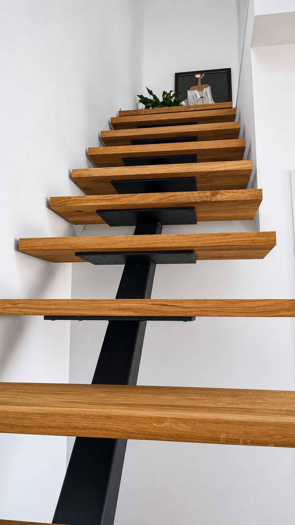 ibarkalde es fabricante de escaleras de zanca central en nueva aquitania